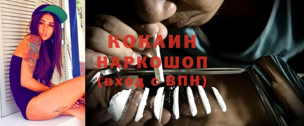 метадон Няндома