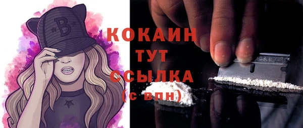 метадон Няндома