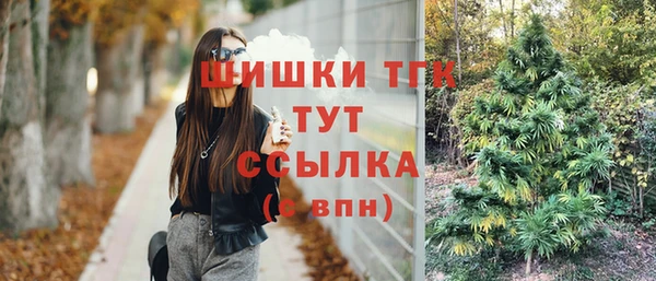 метадон Няндома