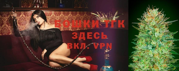 стаф Новодвинск
