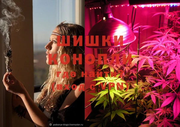 метадон Няндома