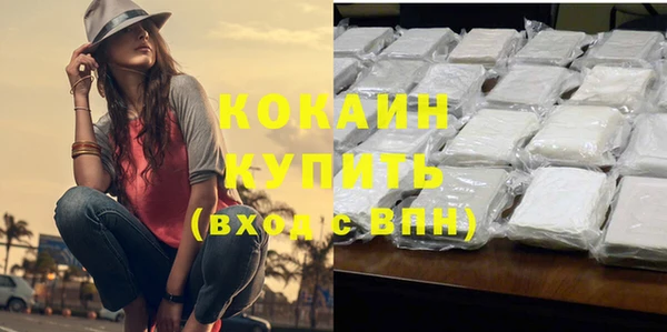 метадон Няндома