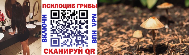 Псилоцибиновые грибы мицелий  гидра как зайти  Череповец 